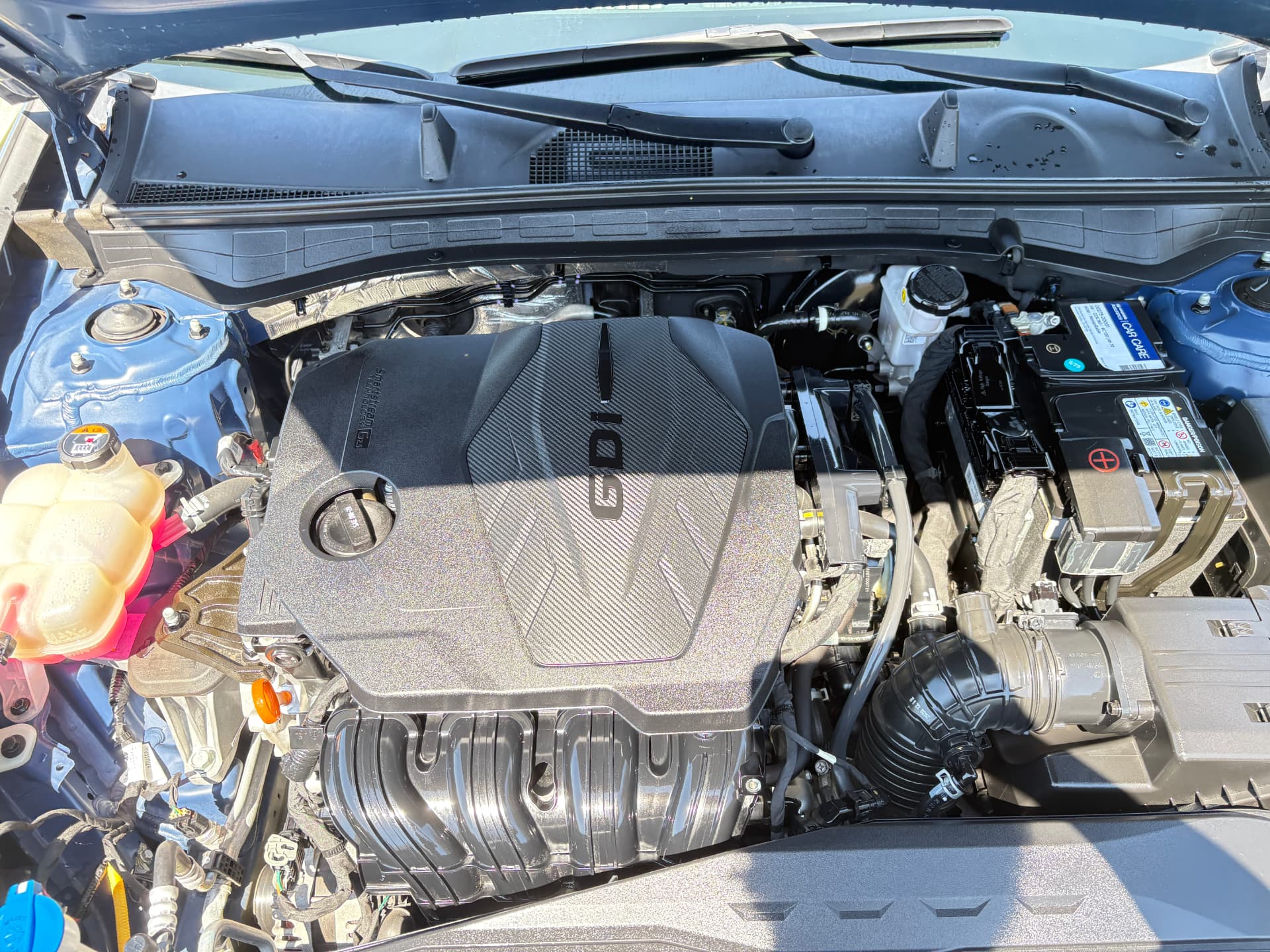 Spotless engine bay with clean plastics and dressed hoses after professional cleaning